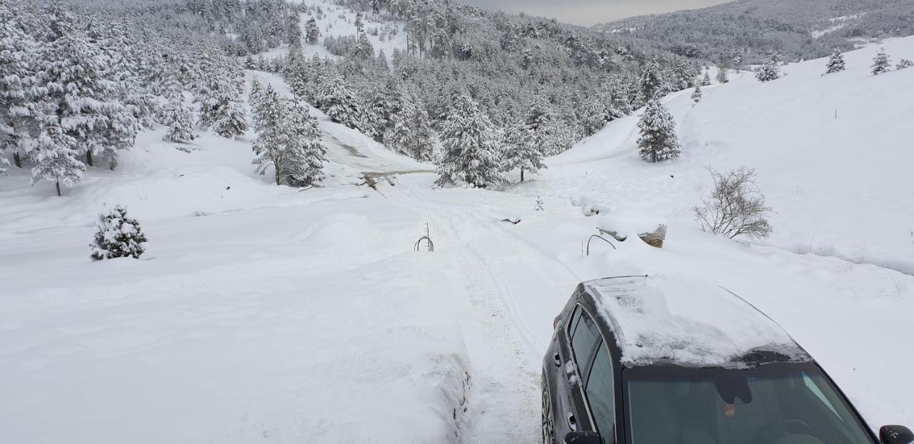 Lodge Ljubiska Previja Dış mekan fotoğraf